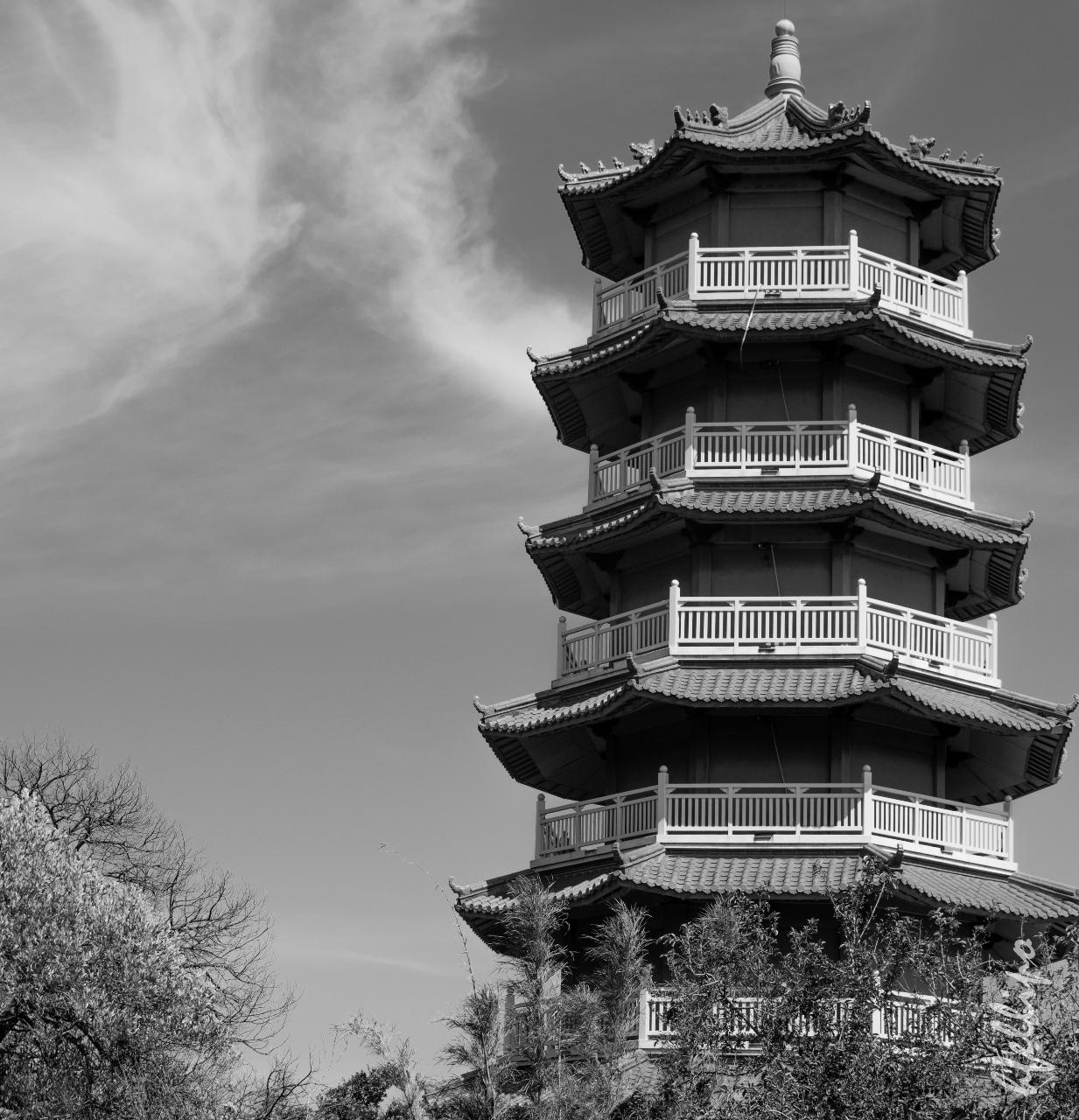 Aerial photography, drone photography by Herme Caldeira