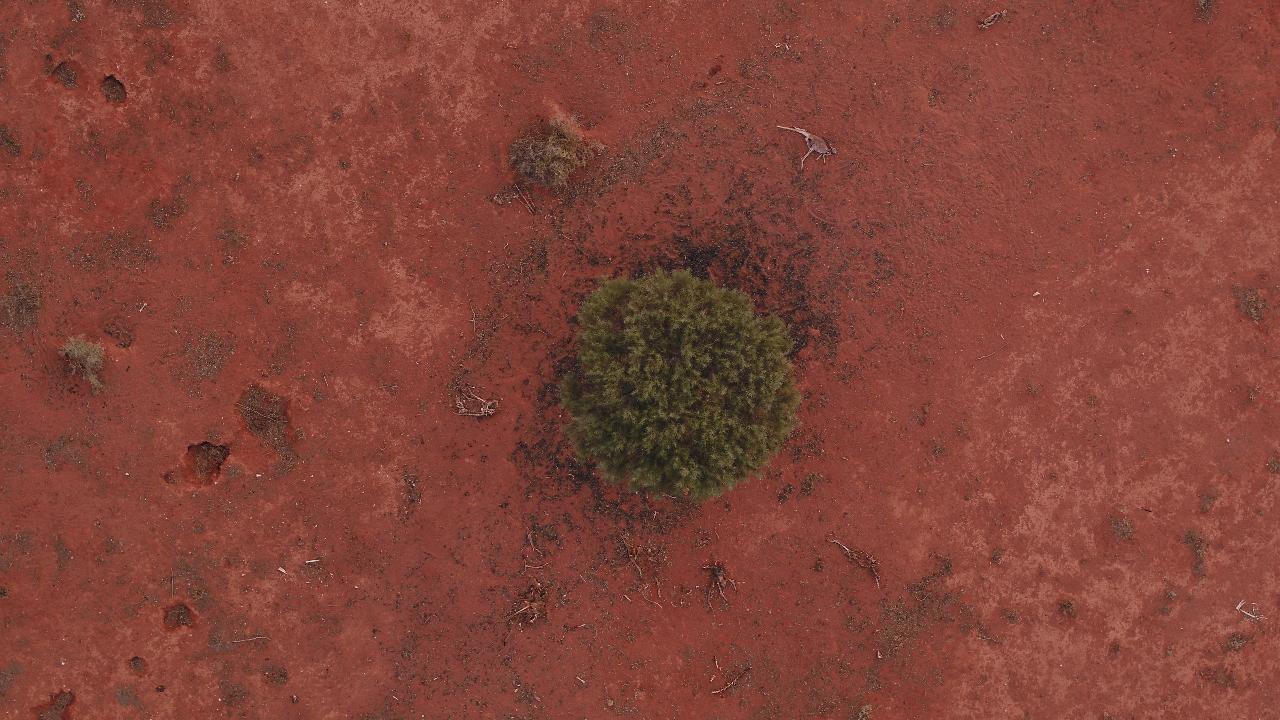 Aerial photography, drone photography by The Natural History Unit Pty Ltd