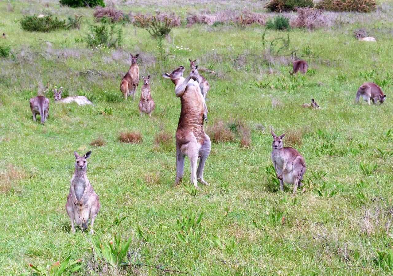 Aerial photography, drone photography by Outlook Drones P L