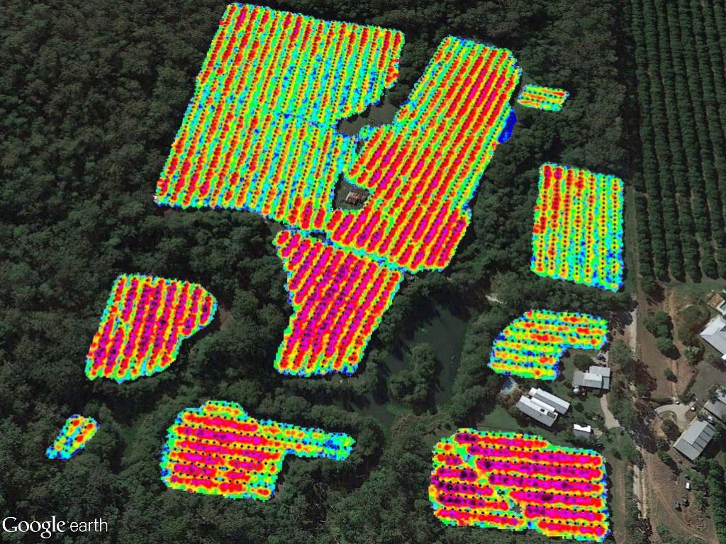 Macadamia and pineapple farm data layer mapping
