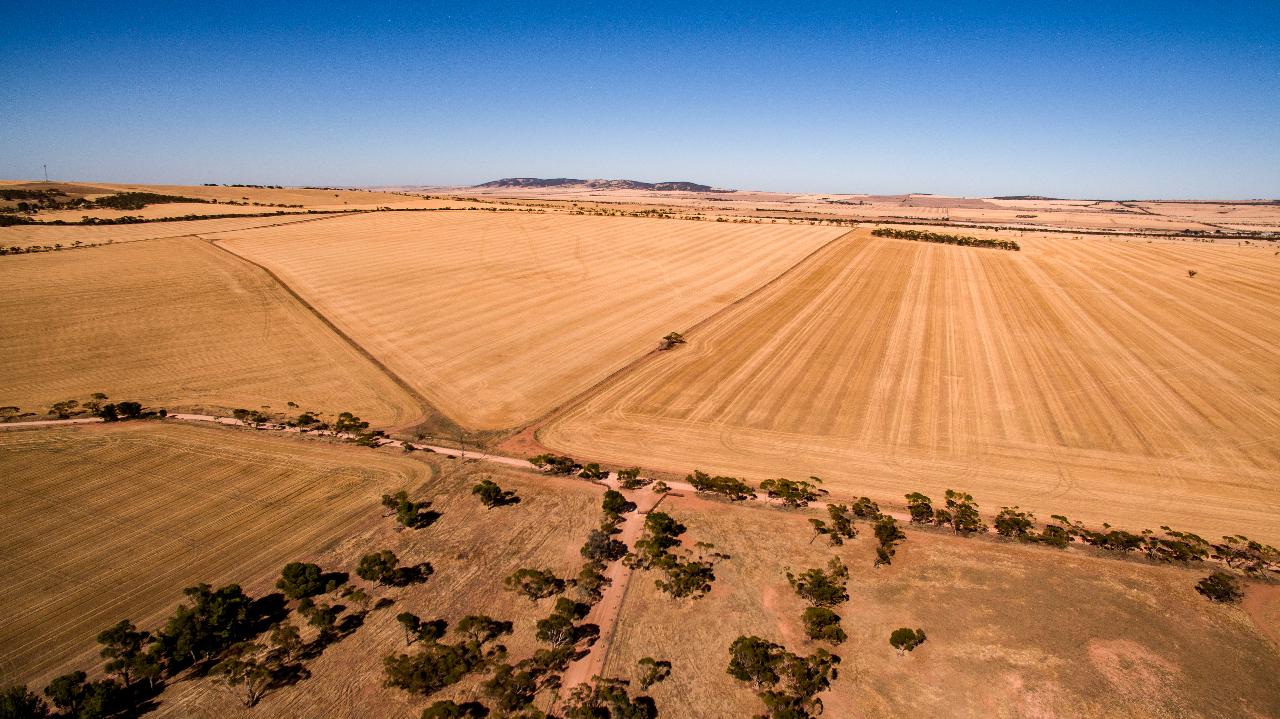 Aerial photography, drone photography by Cinematic Motion Pty Ltd