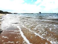 Goldies Photos and Drones