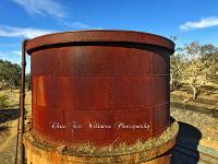 Ace Williams Photography