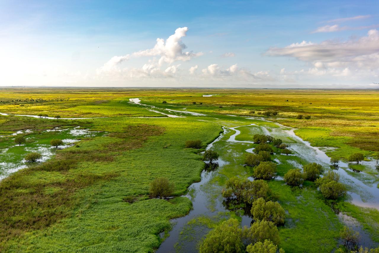 Aerial photography, drone photography by Rise Above Aerial Imagery