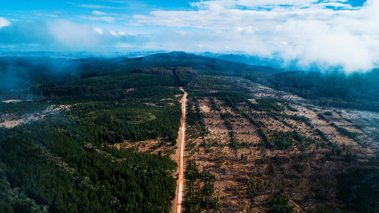 Aerial photography, drone photography by Red Dot Media