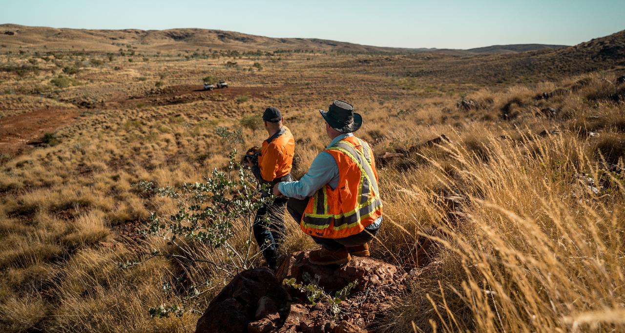 NxGold - Mt. Roe Gold Project