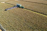 Nick Addison Photography