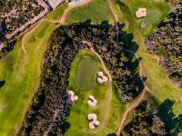 Intrepid Drone Services