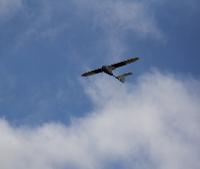 AirBorn Insight Pty Ltd