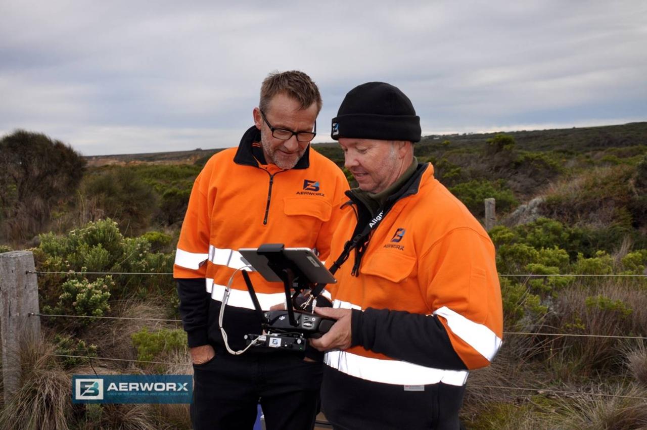 Shipwreck Coast - Aerial Survey