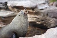 Motus Aerial Solutions