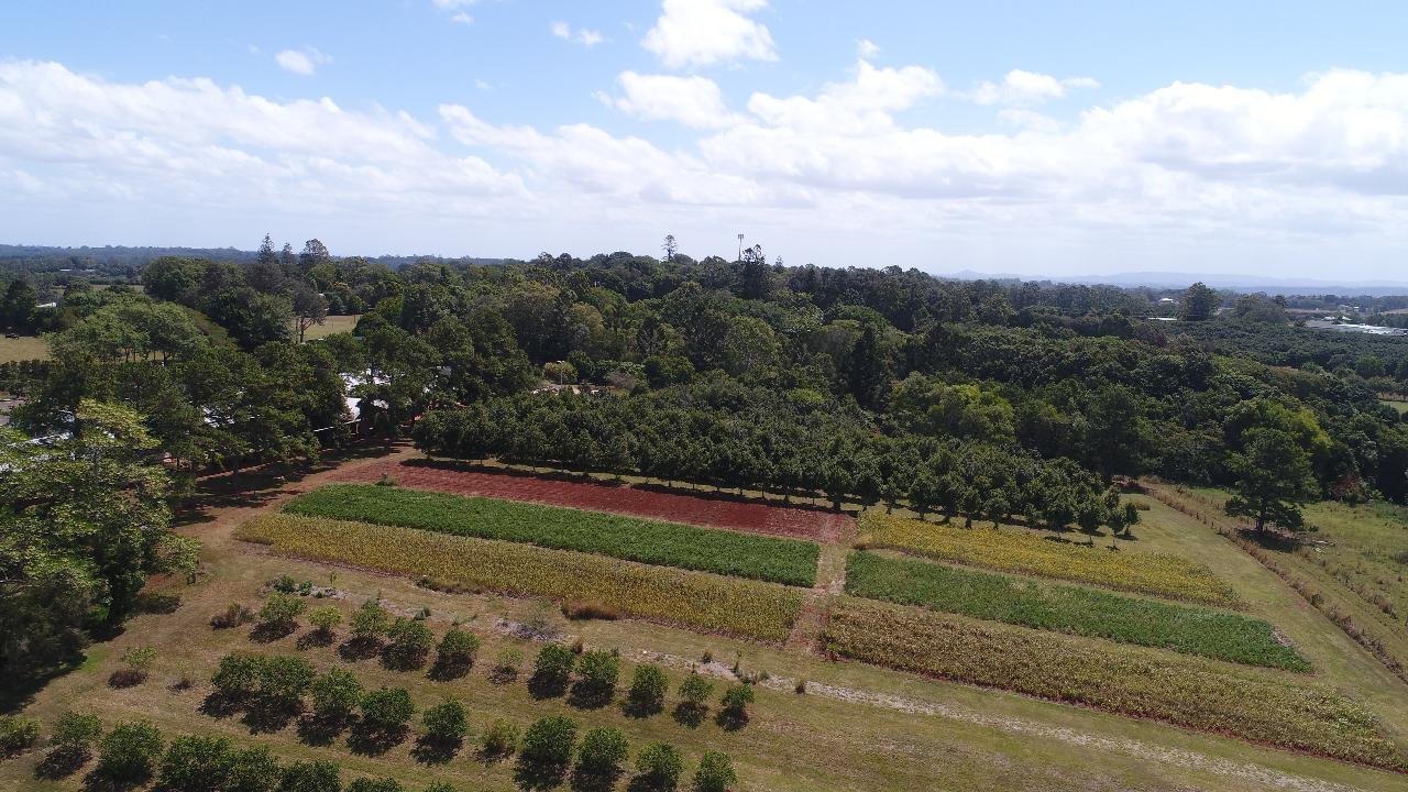 Aerial photography, drone photography by dragonflyer