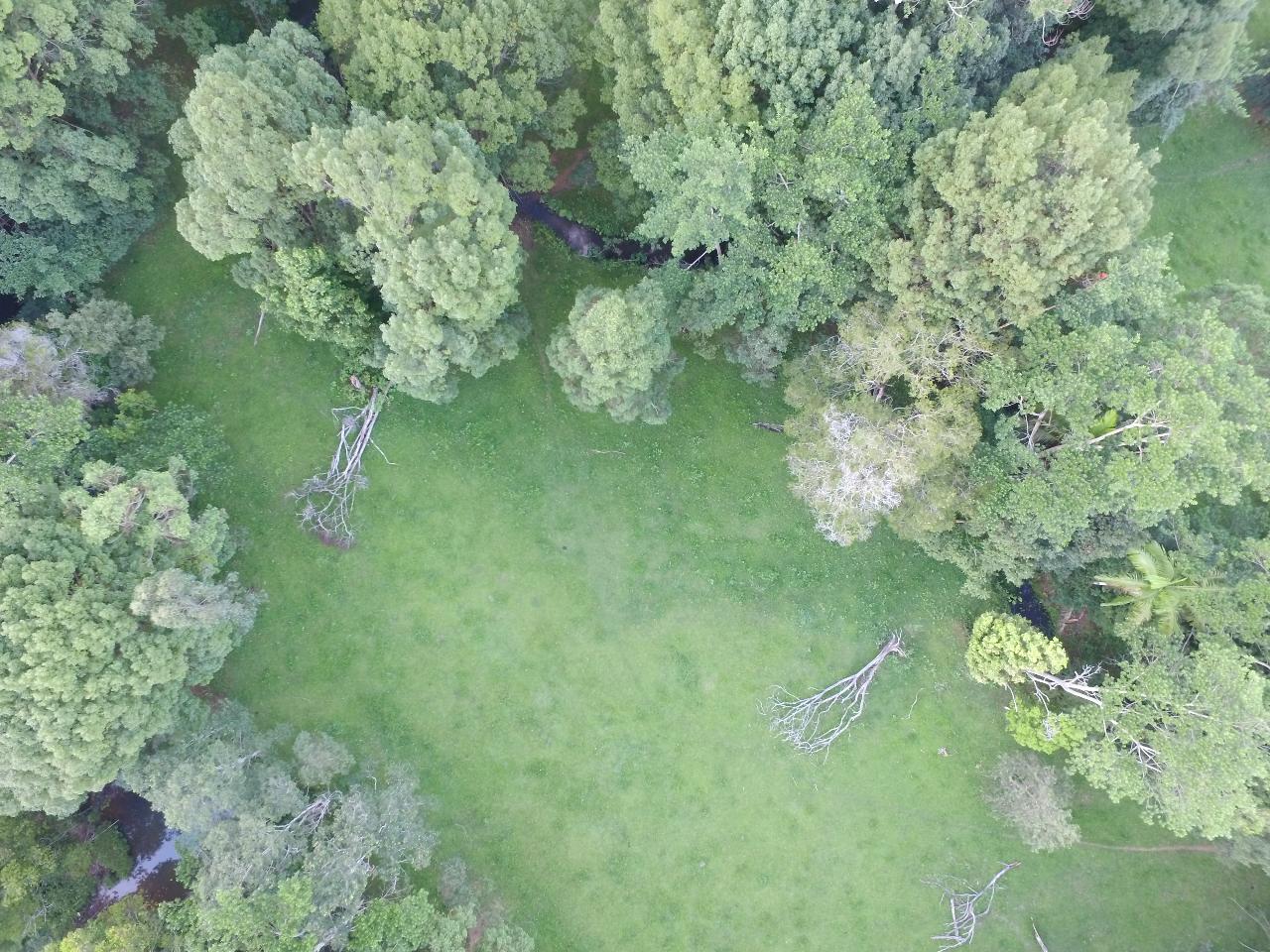 Aerial photography, drone photography by dragonflyer