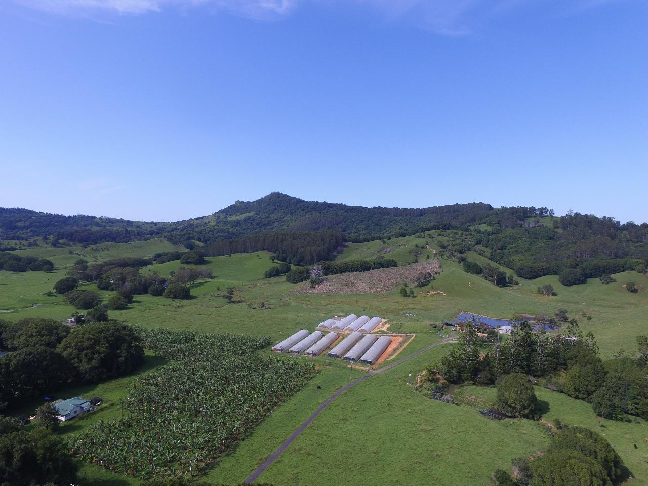 Aerial photography, drone photography by dragonflyer