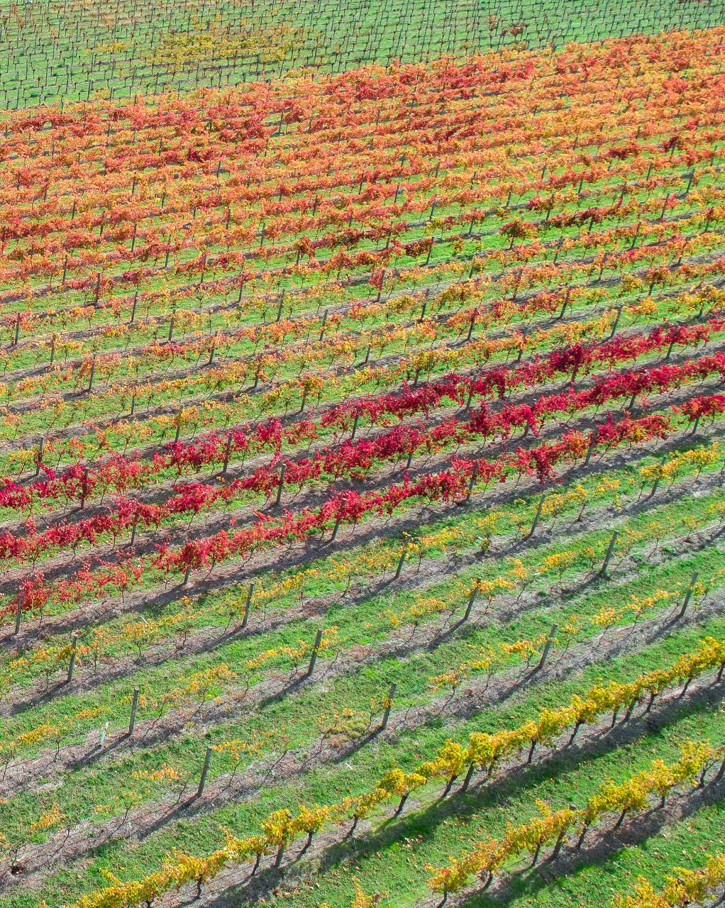 Aerial photography, drone photography by Skypan Australia