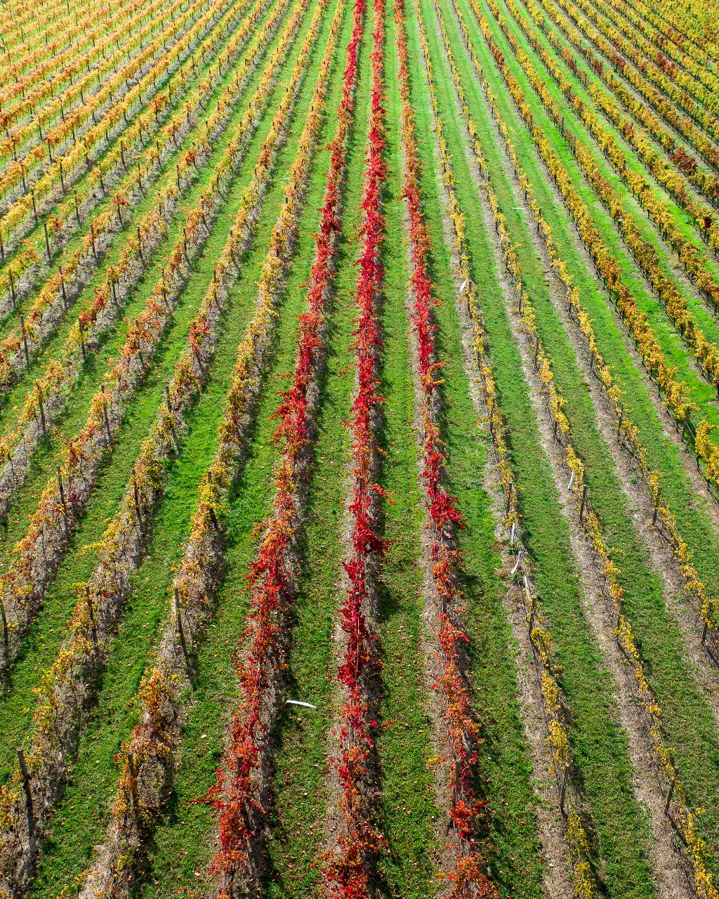 Aerial photography, drone photography by Skypan Australia