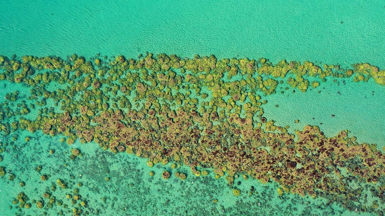 Aerial photography, drone photography by Aerial Perspectives Australia