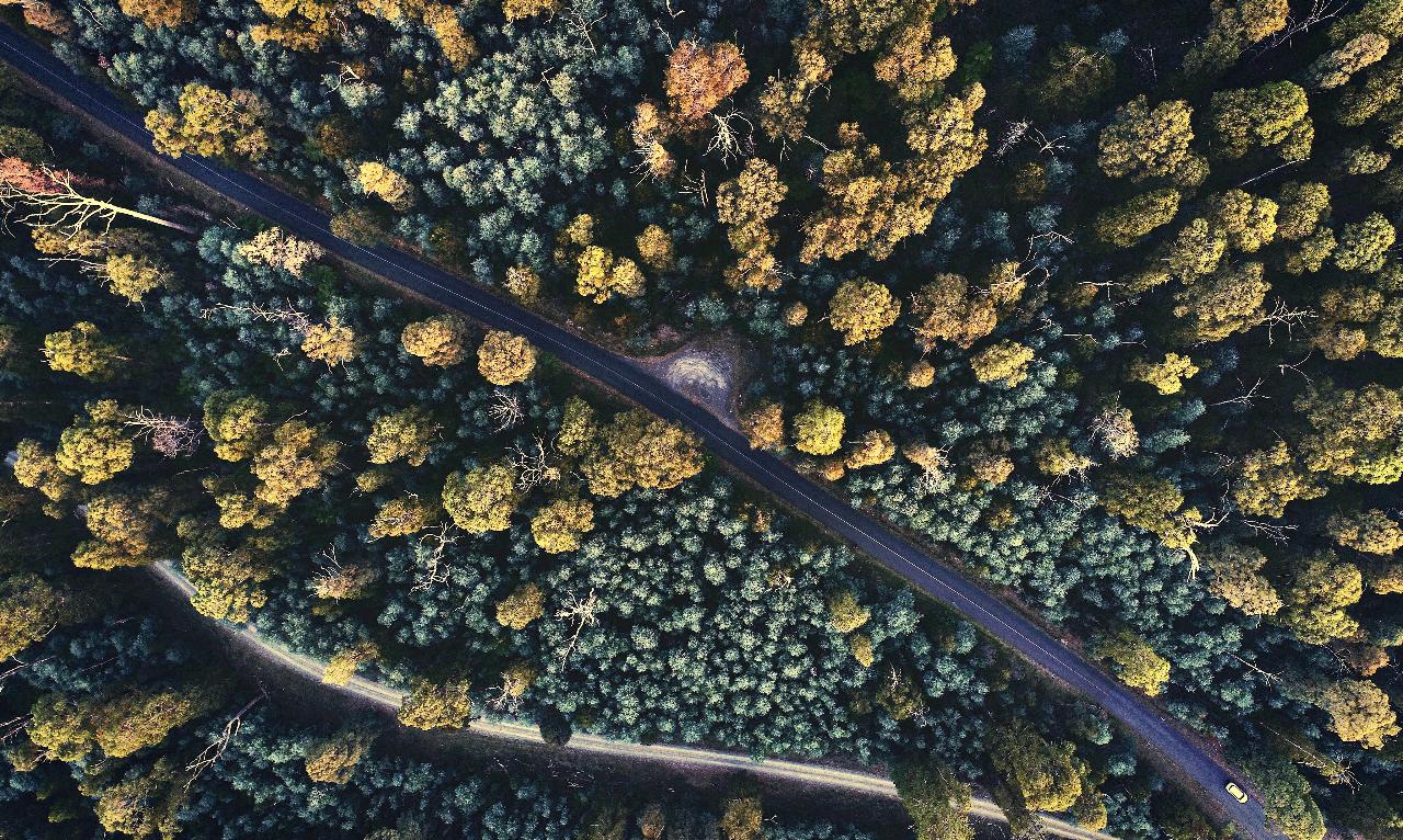 Aerial photography, drone photography by Australia UAV Discovery