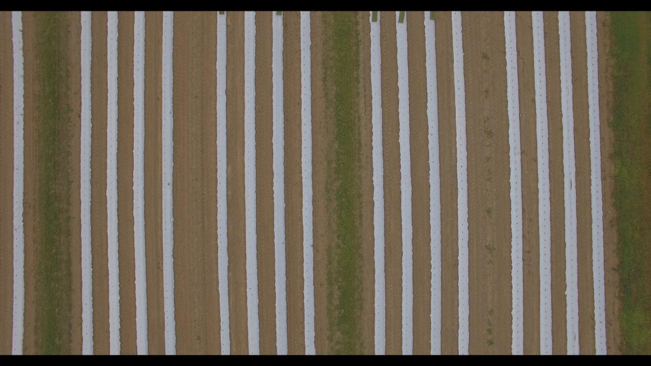 Aerial photography, drone photography by Kent Marcus