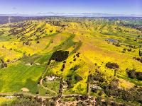 AlGorithm Drone Services