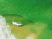 AlGorithm Drone Services