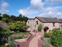 Motus Aerial Solutions