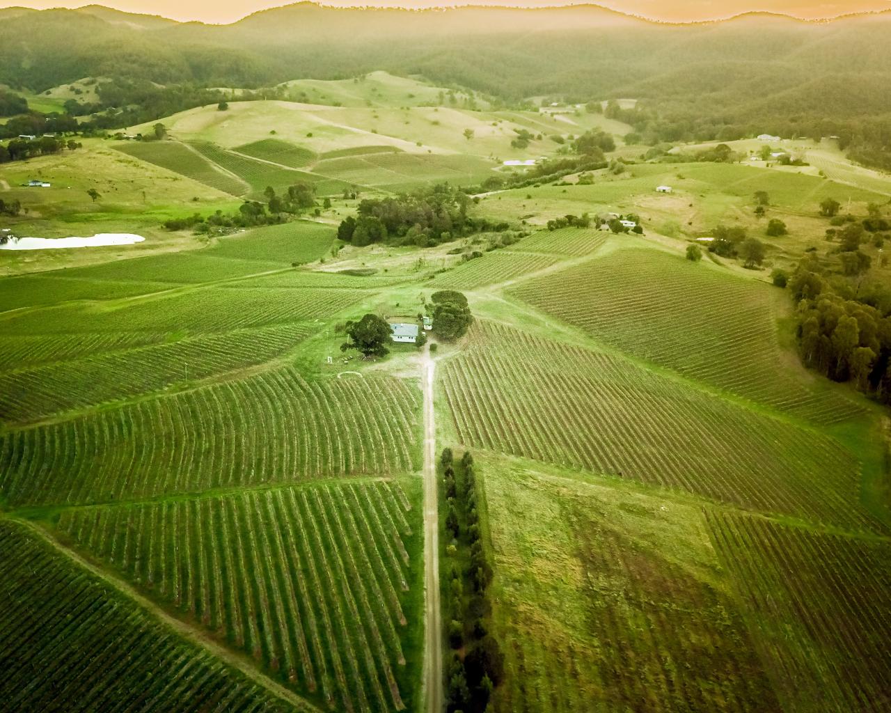 Aerial photography, drone photography by UAV Squad