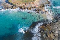 Staples Media Australia