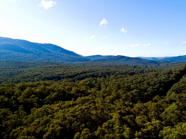 Aerial photography, drone photography by AEV Digital Creative