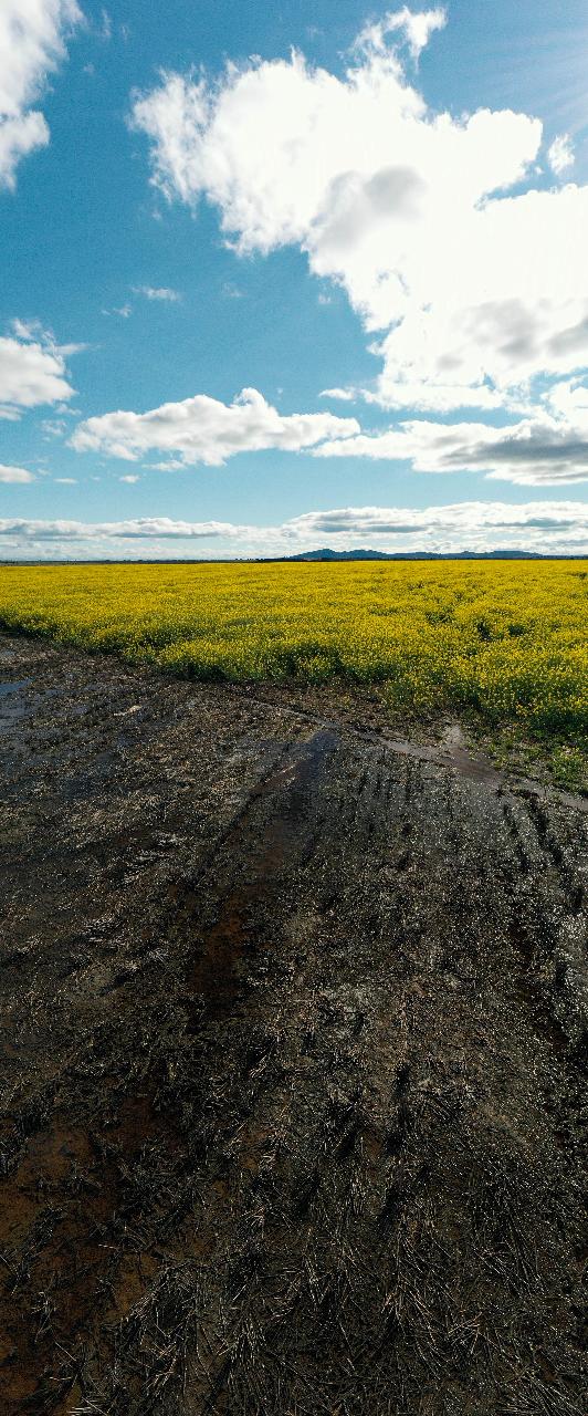 Aerial photography, drone photography by Zenith Point Media