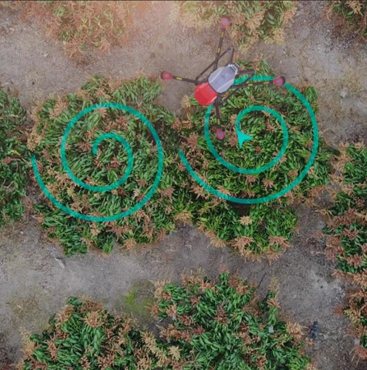 Aerial photography, drone photography by Eagle Eye Vision Pty Ltd