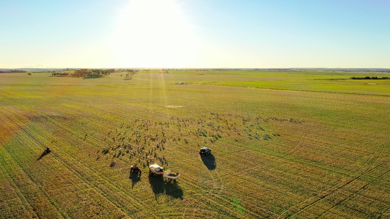 Aerial photography, drone photography by Kia