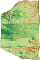 REKON VISUAL INTELLEGENCE