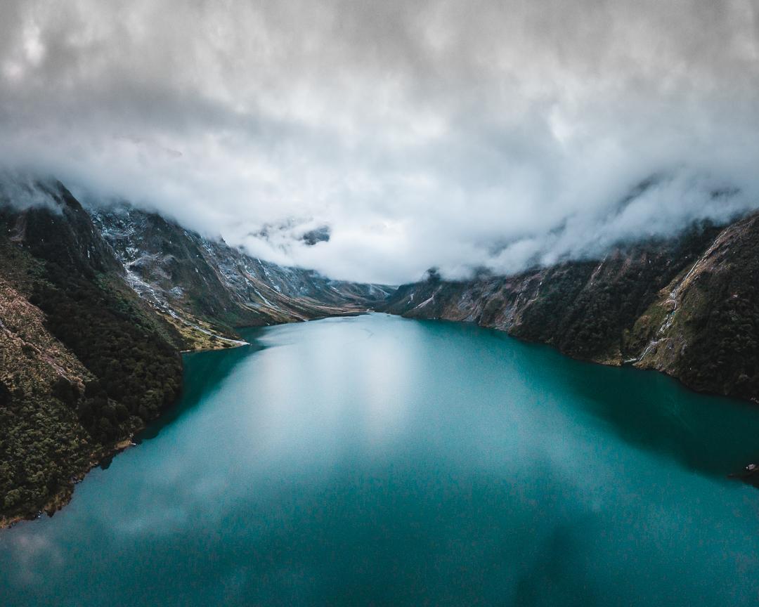 The Laughing Pug Coffee Company