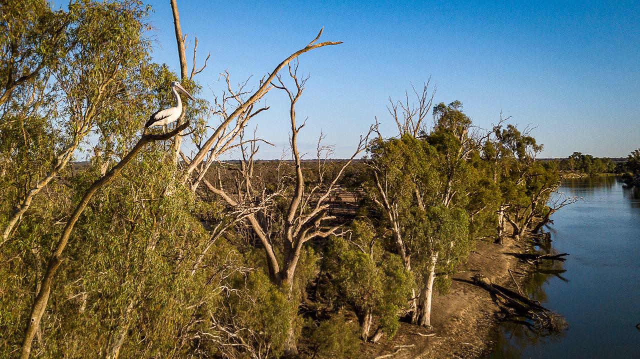 Aerial photography, drone photography by Droneguys