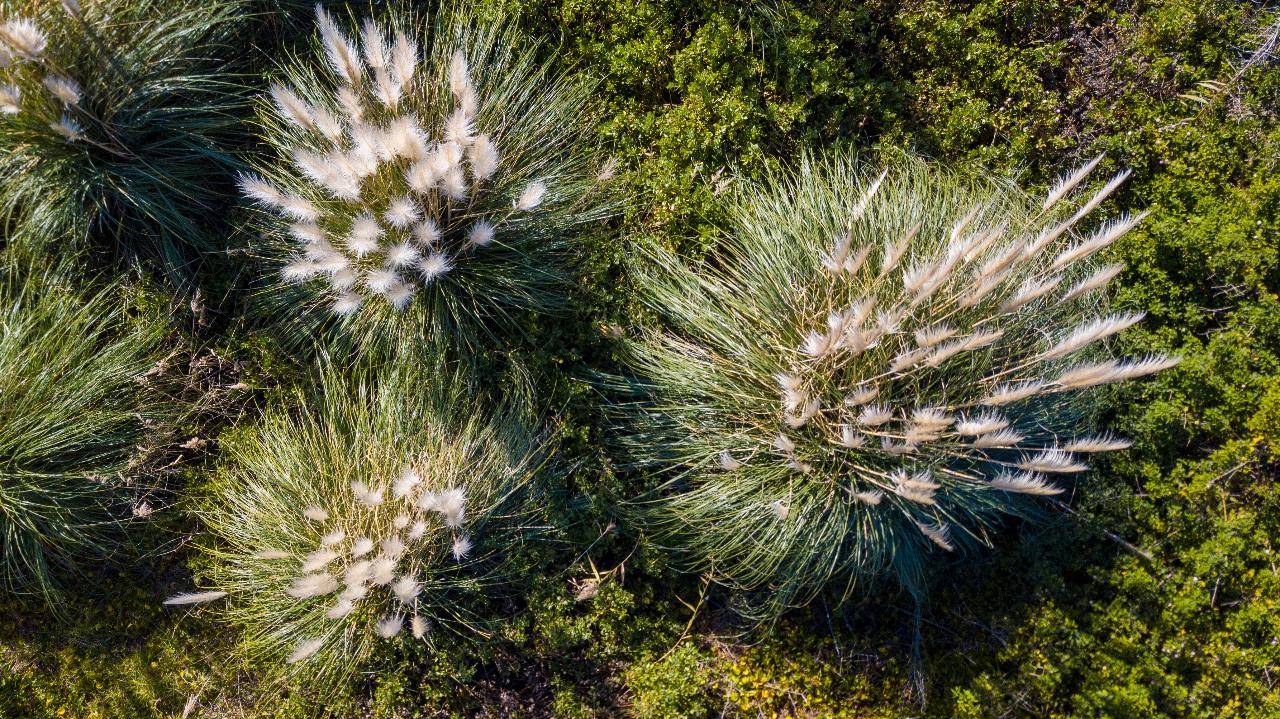 Aerial photography, drone photography by Lewis Isaacs