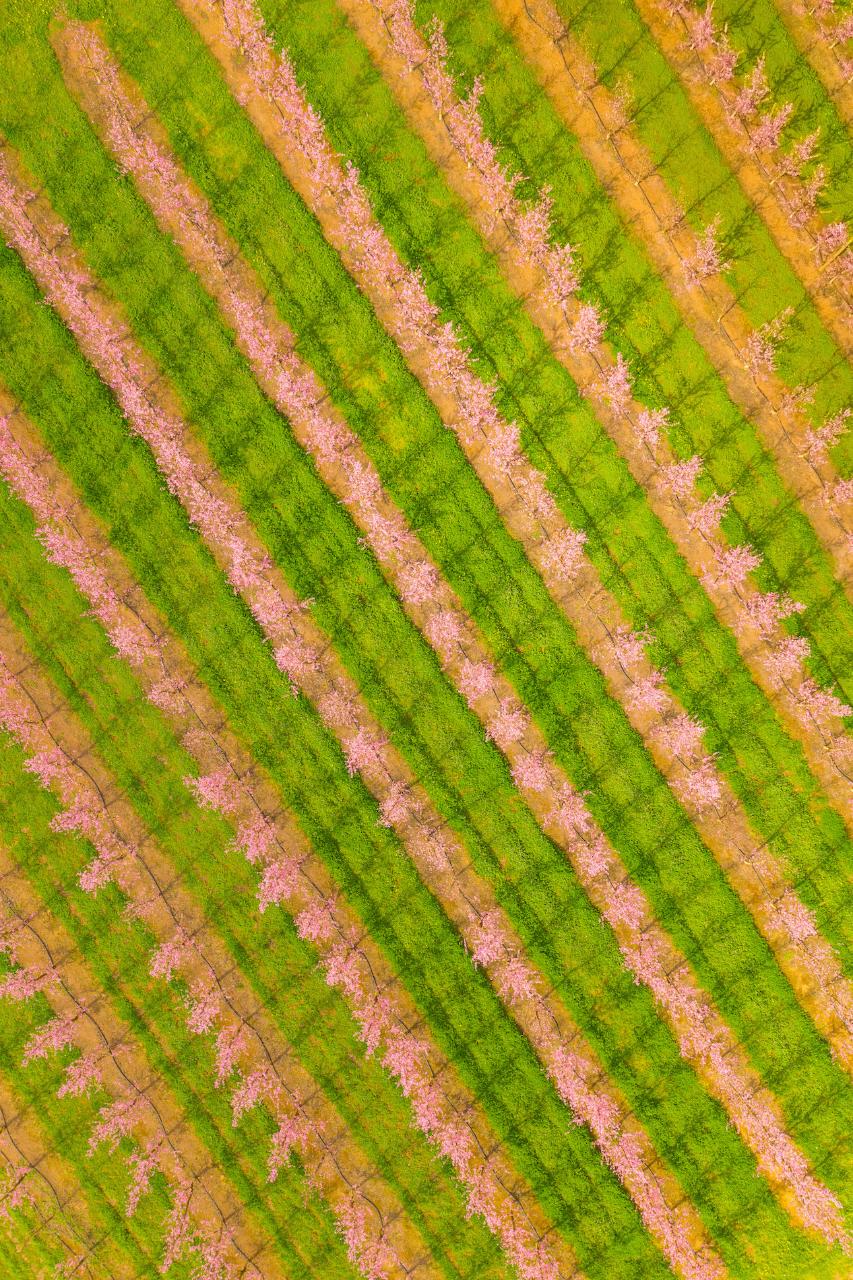 Aerial photography, drone photography by Imagine Earth