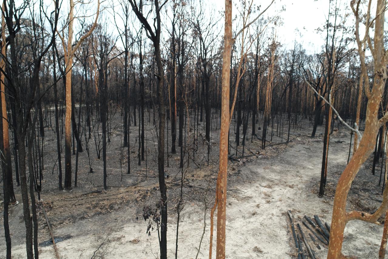 Aerial photography, drone photography by Saunders Havill Group Pty Ltd