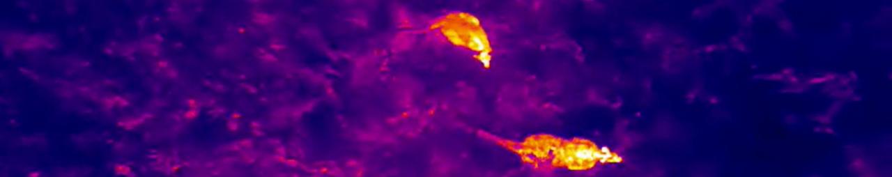 Aerial photography, drone photography by Saunders Havill Group Pty Ltd