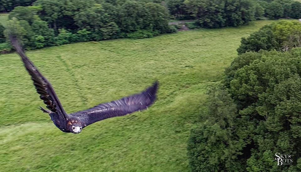 Aerial photography, drone photography by SKYBOTS