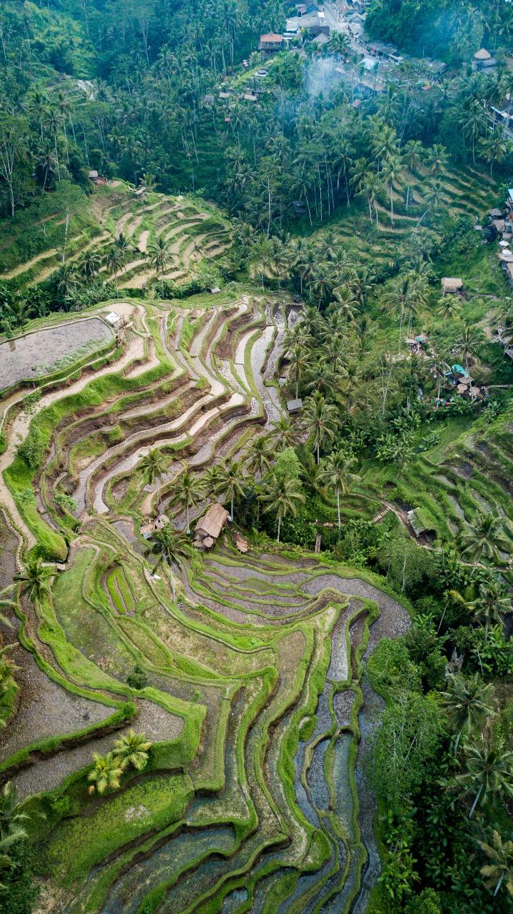 Aerial photography, drone photography by Capture