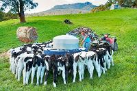 Aspect Photographics Pty Ltd