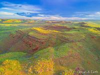 Platinum Surveys - Ocean and Earth Aerial Photography