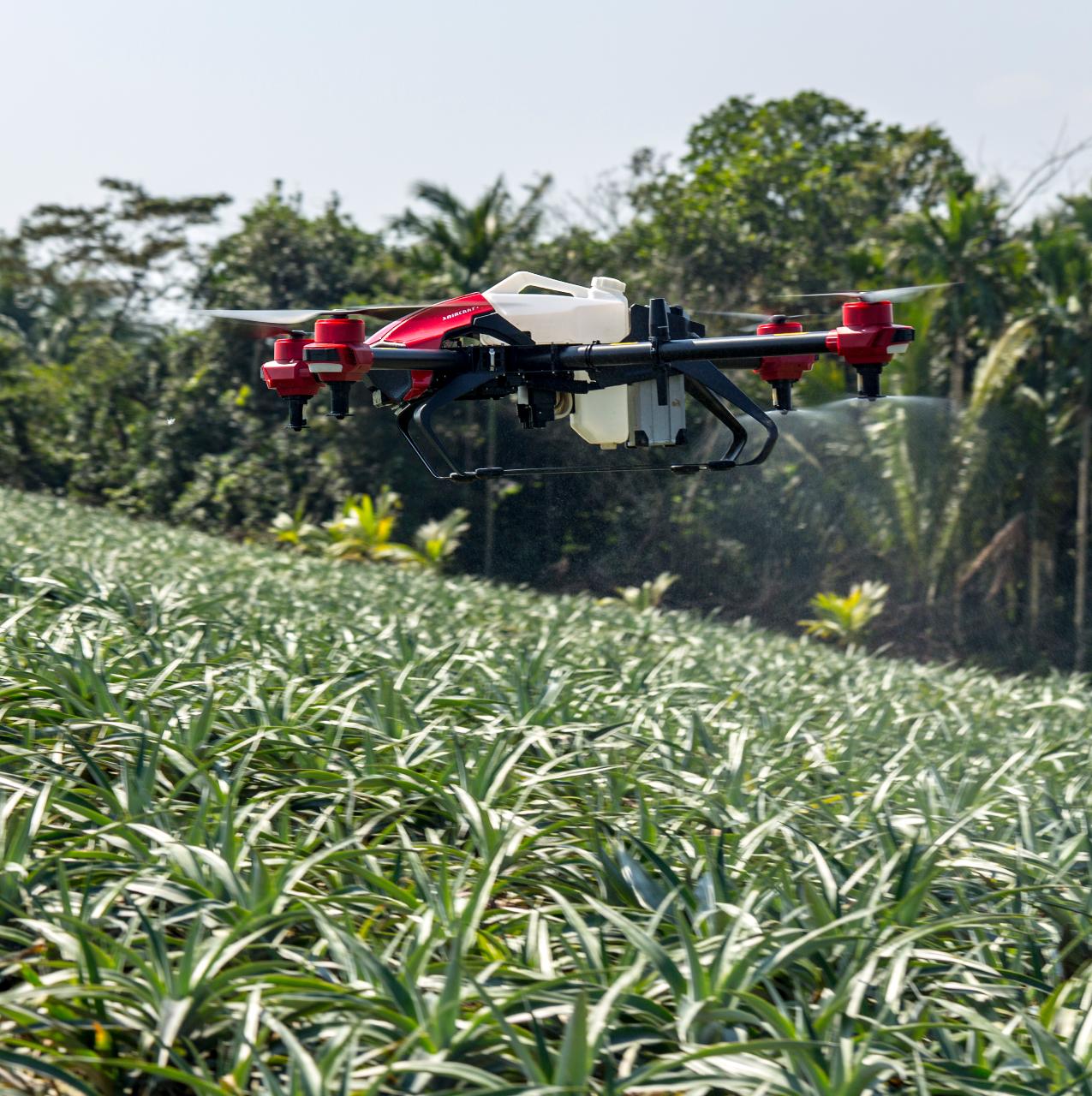 Aerial photography, drone photography by Gentex Services