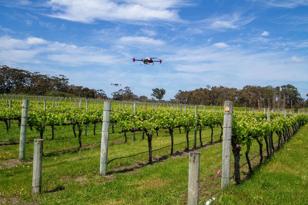 Aerial photography, drone photography by Gentex Services