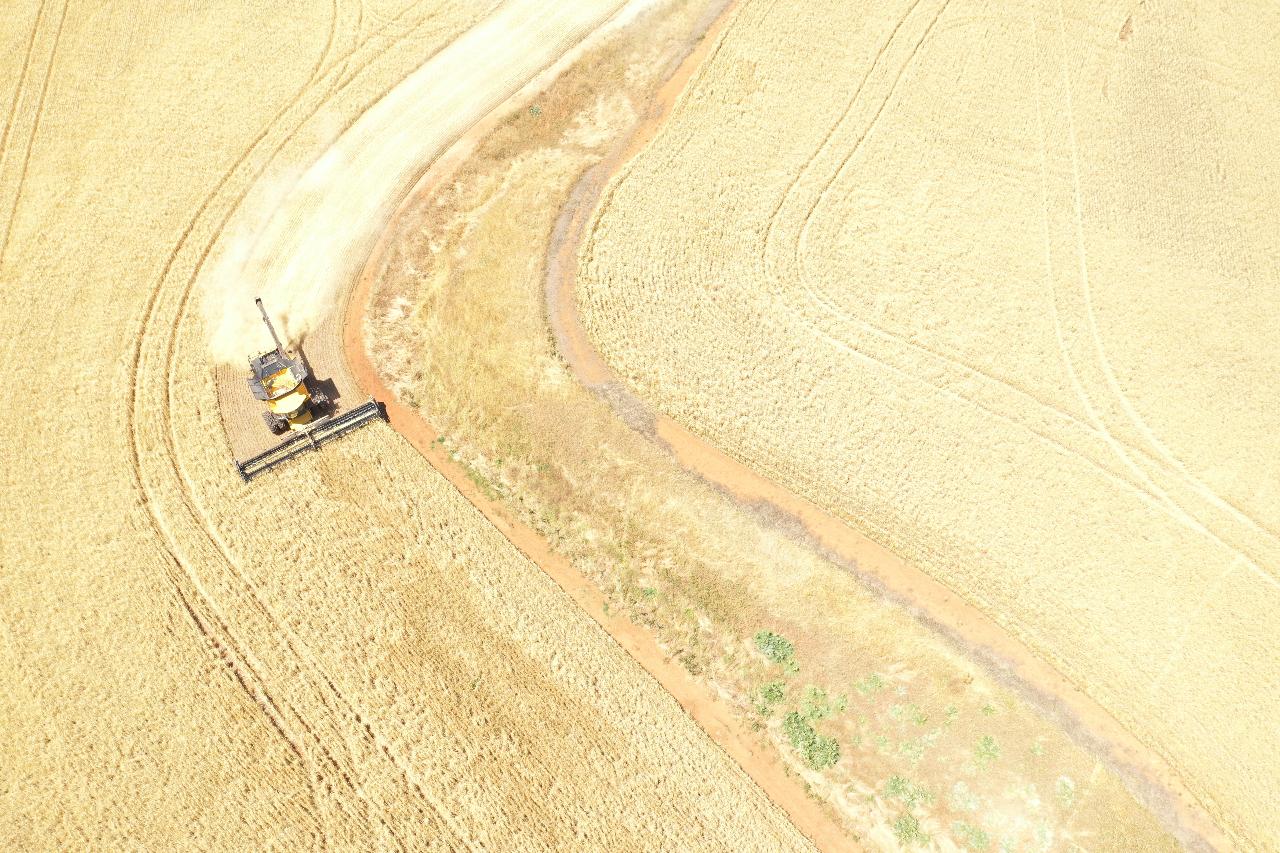 Aerial photography, drone photography by Ground Effect Studios