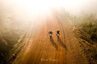 Daniela Tommasi Photography
