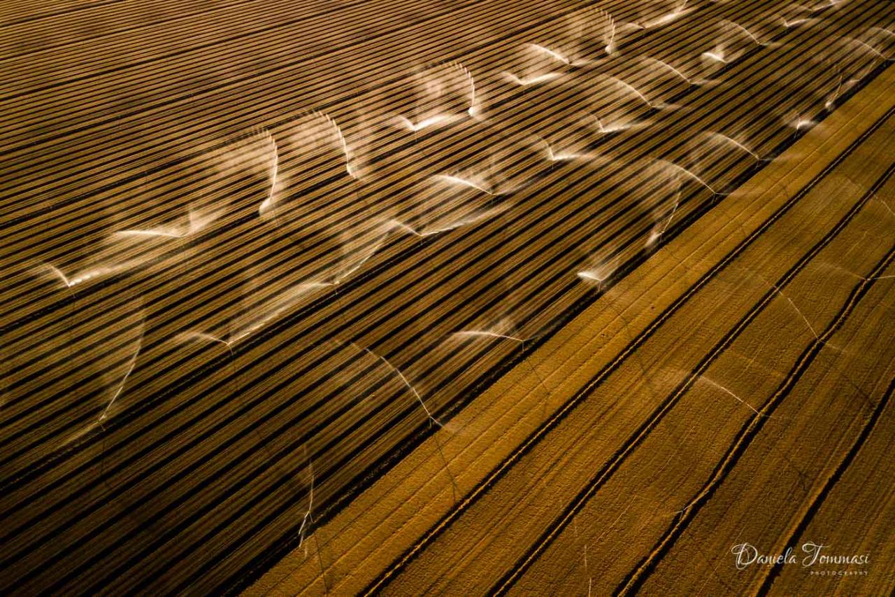 Aerial photography, drone photography by Daniela Tommasi Photography