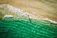 Daniela Tommasi Photography