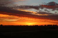 BLACK DRONE PROJECTX